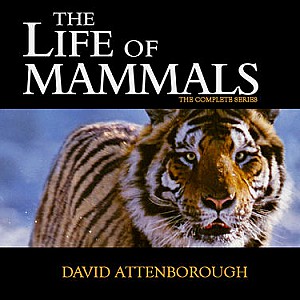 The Life Of Mammals